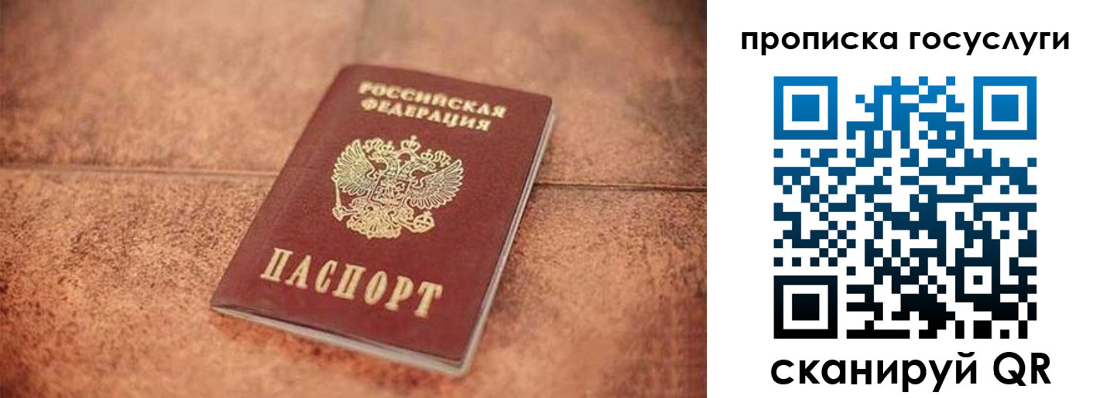 прописка законно в Черноголовке